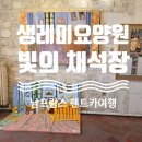 남프랑스 렌트카여행, 고흐의 셍레미 요양원, 빛의 채석장 주차, 가격, 후기