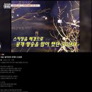 (주)광림 | 뮤지컬 마리퀴리(김려원,전민지,테이,강태을) 광림아트센터 1층 H열 24번 후기/(스포없는 후기)/추천!