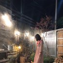 피어라헤어