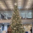 문화의전당작은도서관 | 광주여행 아이와 실내 가볼만한곳 국립아시아문화전당 다녀온 후기