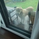 아슬란과짹짹이 이미지