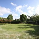 에이스 골프 연습장 이미지