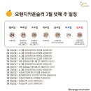 오렌지스터디 이미지