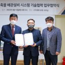 청완