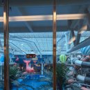 워터킹덤 워터파크 & 스파 | 🌊송파 파크하비오 워터킹덤 &amp; 찜질스파 후기 (2편)