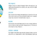 데브스튜디오 이미지