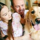 애견미용 이미지