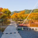 대강오토캠핑장 이미지