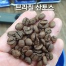 필커피 이미지