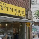 멍멍그루밍 이미지