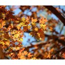 제추골 황토펜션 이미지