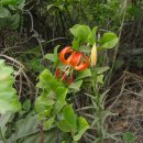 내고향 순천 이미지