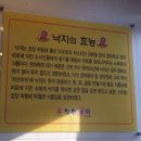 제천 착한낙지 맛집 추천 &amp; 낙지볶음 솔직후기