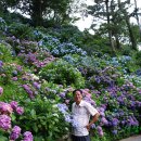 삼도농장 이미지