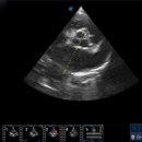 어울동물의료센터 이미지