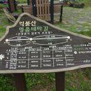 힐링우드2 이미지