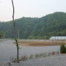 비발디 캠핑파크 이미지