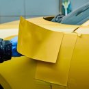 태평양카독크 이미지