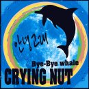 안녕고래 이미지