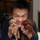 헐