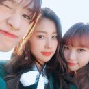 나의댕댕이
