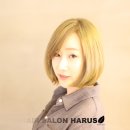 하루스(HARUS) 이미지