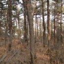 옹진군덕적면서포리보건진료소 이미지