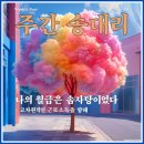고차원 이미지