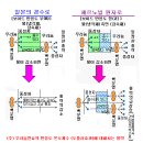 Gundersen 박사 인터뷰 번역과 그 의미 해석..... 이미지