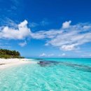 배방공업사 이미지