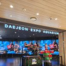 아쿠아리움 | 대전 엑스포 아쿠아리움 후기