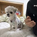 함덕은서네