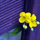 애보박물관 이미지