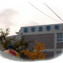 일광초등학교 티스토리