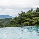 리리포레스트