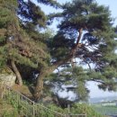 빗접바위 이미지