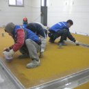 광명북초등학교 이미지