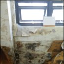 셀파우등생수학교습소 이미지