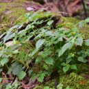 수리산역 이미지