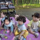 38호공원 Daum카페