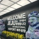 8월 제주도동쪽여행 1일차 (해녀촌- 김녕카페 -인카페온더비치-스노쿨링 -그때그집)
