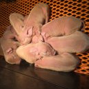 종돈농장 이미지