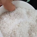 김정호 젓갈 이미지