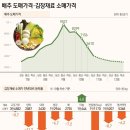 올해 김장 재료 수급 안정 대책(배추) 이미지