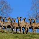 청구행정사사무소 이미지