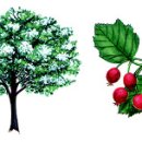 산사로 이미지