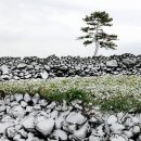 돌담 - 양산시 양산대로 260-20 | 돌담