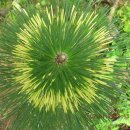 남송농장 이미지