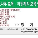 사오리농장 이미지