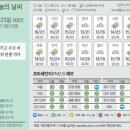 23 이미지